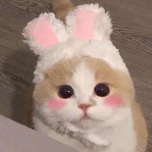 91禁🍆🍑🔞❌❌❌一起草
